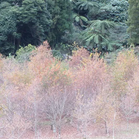 Apartment Apartamento Parque Urbano