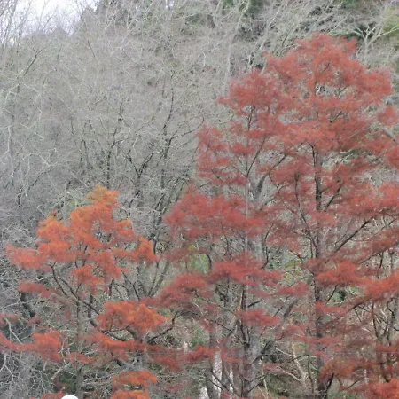 Apartamento Parque Urbano * Ponta Delgada (Sao Miguel)