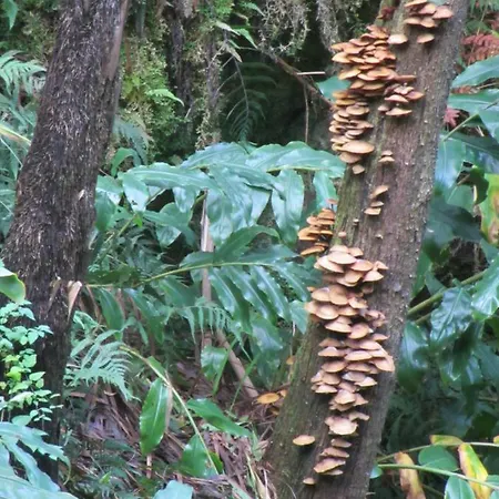 Apartamento Parque Urbano 아파트