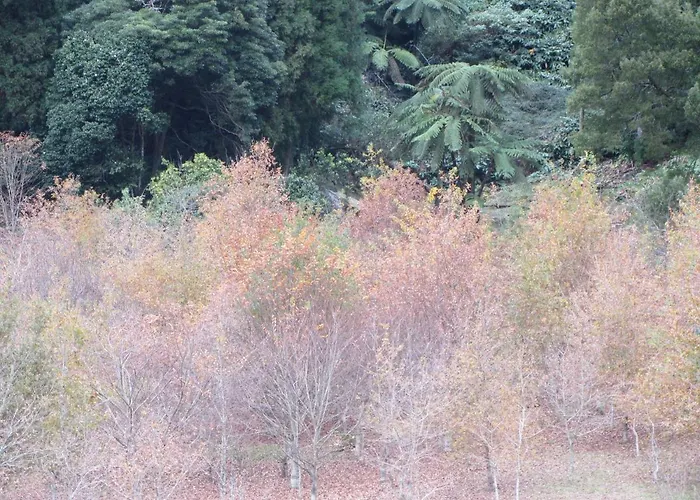 Apartment Apartamento Parque Urbano