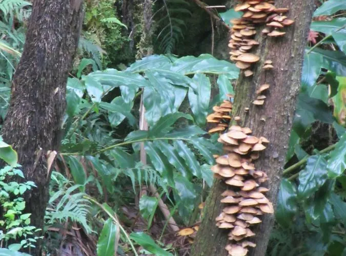 Apartamento Parque Urbano Apartment