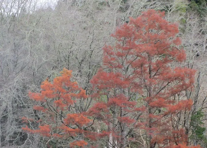 Apartamento Parque Urbano * Ponta Delgada (Sao Miguel)